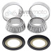 All Balls Headstock Bearing Kit Gas, Beta, Sherco
