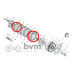 Beta Evo Clutch Plate 2T/4T