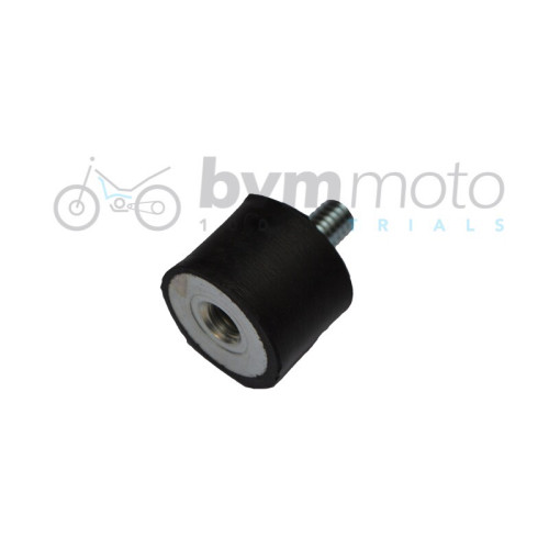 Beta Silent Block Radiator Lower Mounts