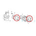 Beta Manifold Gasket