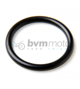 TRS Thermostat O-ring