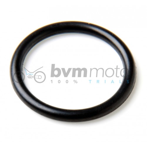 Beta Evo Cylinder Head Insert O-Ring
