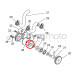 Beta Water Pump Impeller