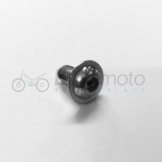 Beta Rear Mudguard Bolt 09/10