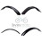 Jitsie Front Mudguard