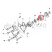 Montesa Water Pump Bearing