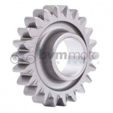 Gas Gas Pro Kickstart Idle Gear