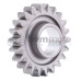 Gas Gas Pro Kickstart Idle Gear
