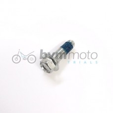 Front Disc Bolt