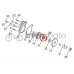 Sherco Water Pump Bearing