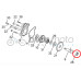 Sherco Water Pump Needle Bearing