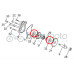 Sherco Water Pump Seal