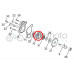 Sherco Water Pump Impeller