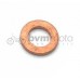 TRS One Water Pump Cover Copper Washer