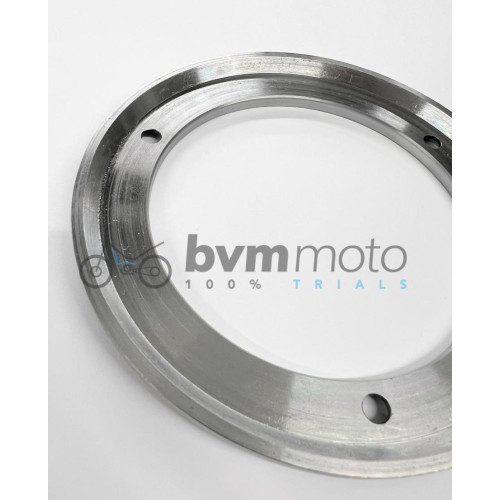 TRS 250/300 Flywheel Weight