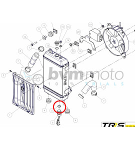 TRS Thermostat O-ring