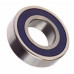 Wheel Bearing 6904 Beta