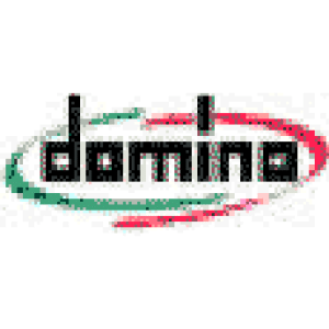 Domino